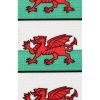 Brimarc Mens Heavy Duty Welsh Flag Braces Trouser Belt Suspender 2" 50mm Wide